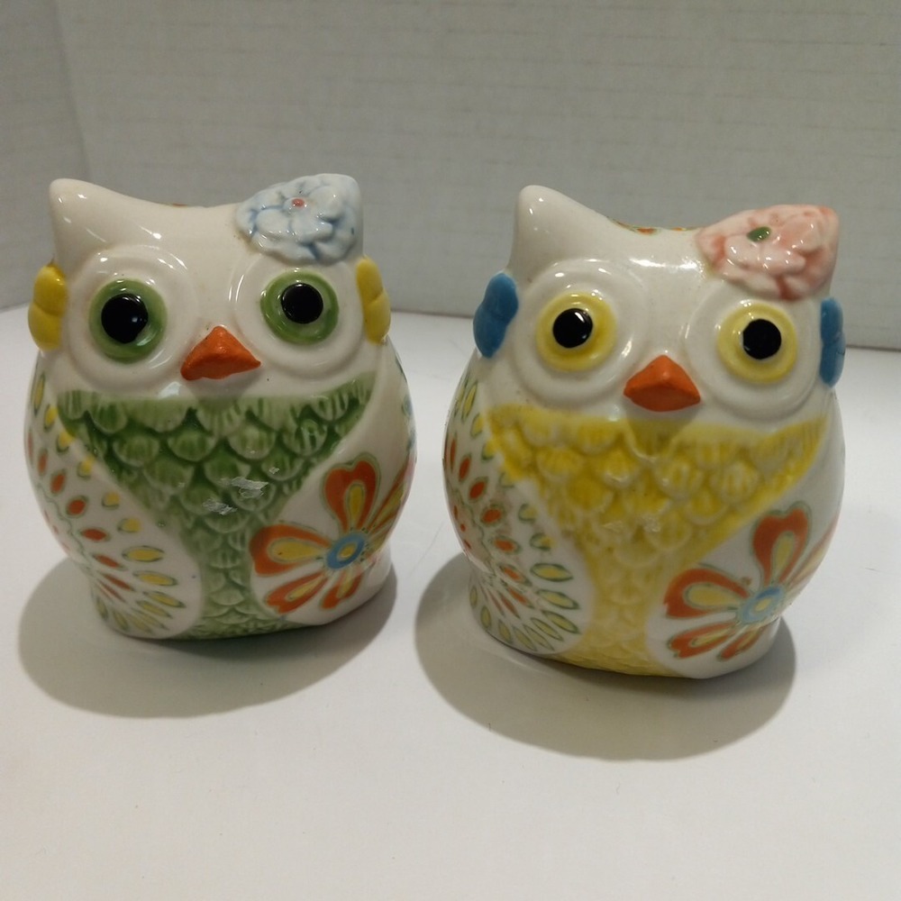 Pier 1 Imports Owl Salt And Pepper Shakers With flowers.